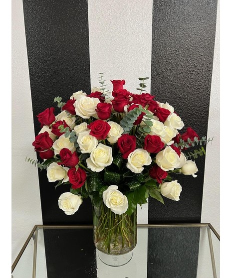 100 Red and White Long Stem Roses