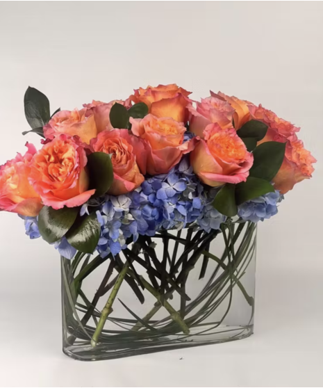 Free Spirit Roses