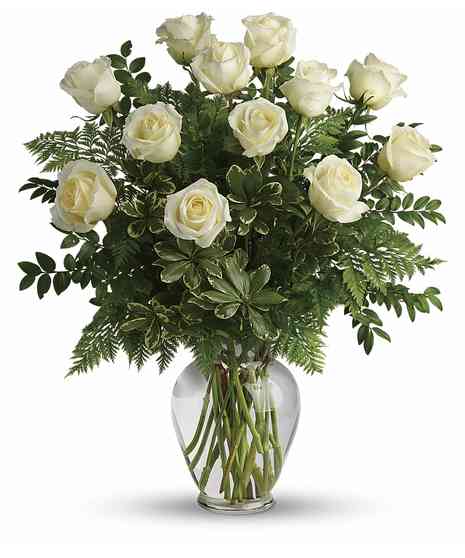 long stem white roses