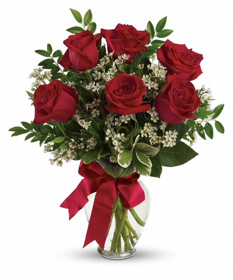 long-stem red roses