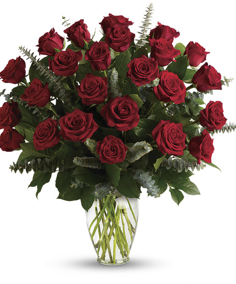 long-stem red roses