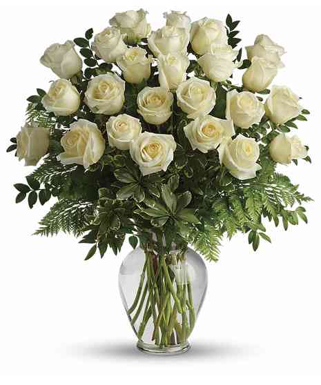 Long Stem White Roses