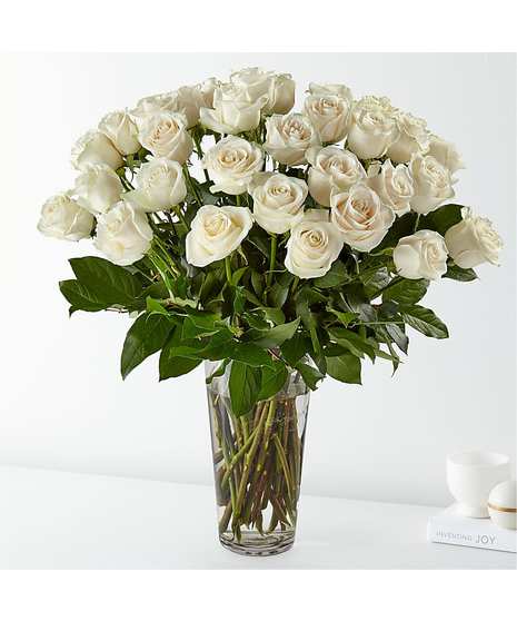 long stem white roses
