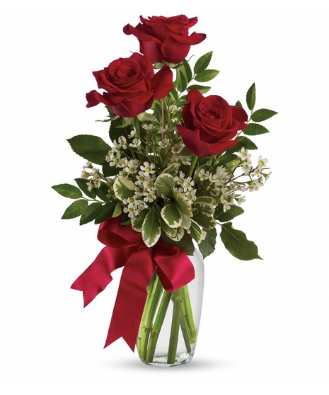 long-stem red roses