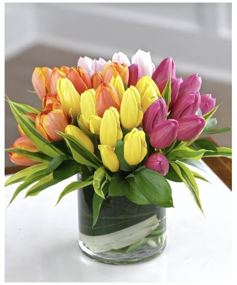 Cheerful Tulips
