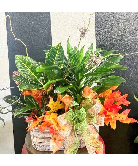 Autumn Plant Basket