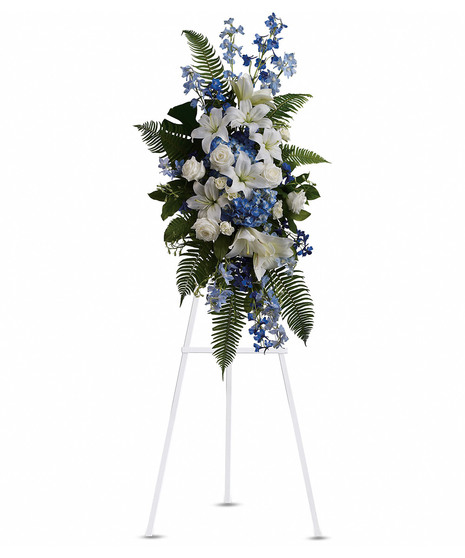 Ocean Breeze - Standing Spray