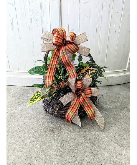 East Texas Grapevine Plant Basket
