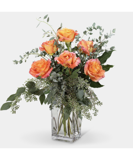 orange long-stem roses