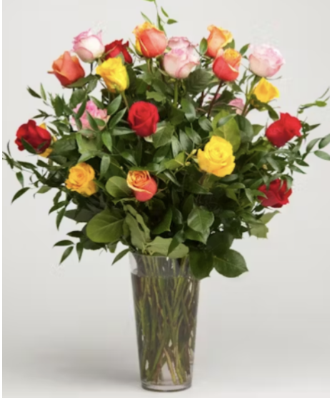 Bright Long Stem Roses