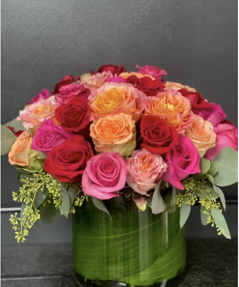 Fragrant Modern Roses