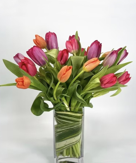 beautiful tulip design