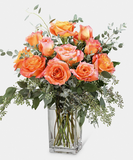 Long Stem Free Spirit Rose