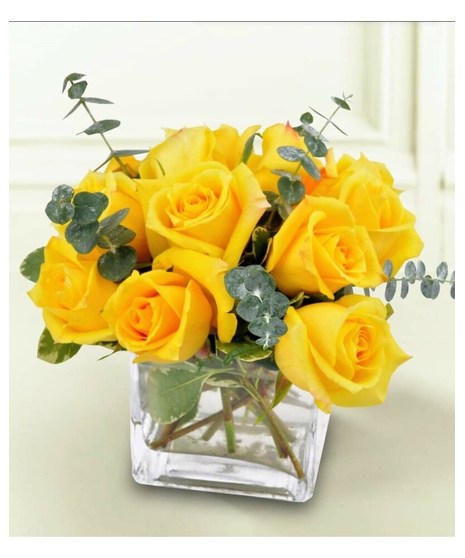 Radiant Yellow Rose