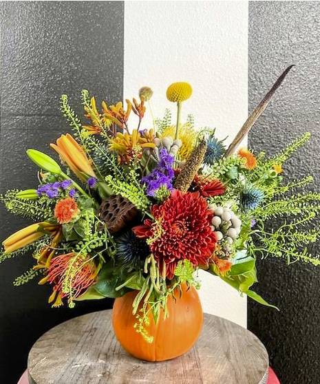 The Pumpkin Pie - Real Pumpkin | Granbury Flower Shop (TX) Same-Day ...