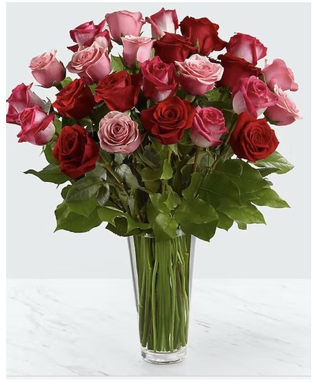 Romantic Long Stem Roses