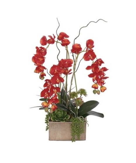 Red Phalaenopsis Orchid - Silk Flowers